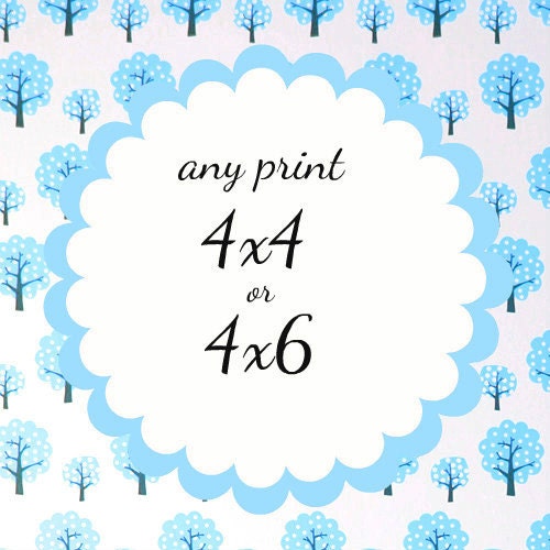 Any Print 4x6 or 4x4 Your Choice, 4x6 photo, 4x4 photo, 4x6 print, 4x4print, 4x6 wall art, 4x4 wall art, 4x6 photography, 4x4 photography