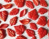 12 Chocolate Leaves: Fire Autumn Il_170x135