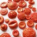 25 Edible Chocolate Buttons: Red & Amber Gold