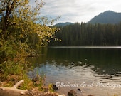 Serene Hidden Lake Photography - Nature photography Fine Art print Blue Green yellow water, tree, gold hue Home Decor 13x19 unframed print