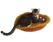Cat Bed Felted Peruvian Wool Hand Knit Pet Bed - Seelie