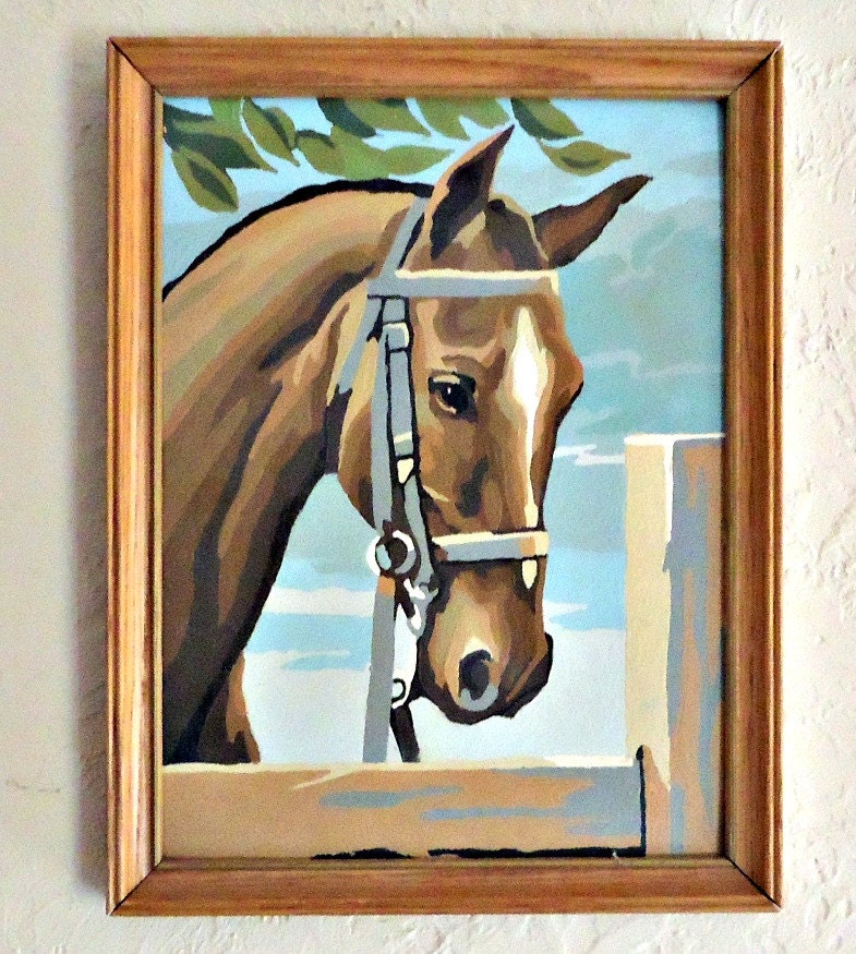 Paint By Number Painting Framed Horse Picture Art Equestrian PBN