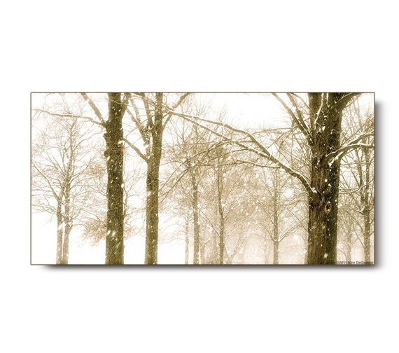 Winter Snowstorm Photo, landscape print, brown, white, snow, trees, landscape, home decor, nature art, printblack friday