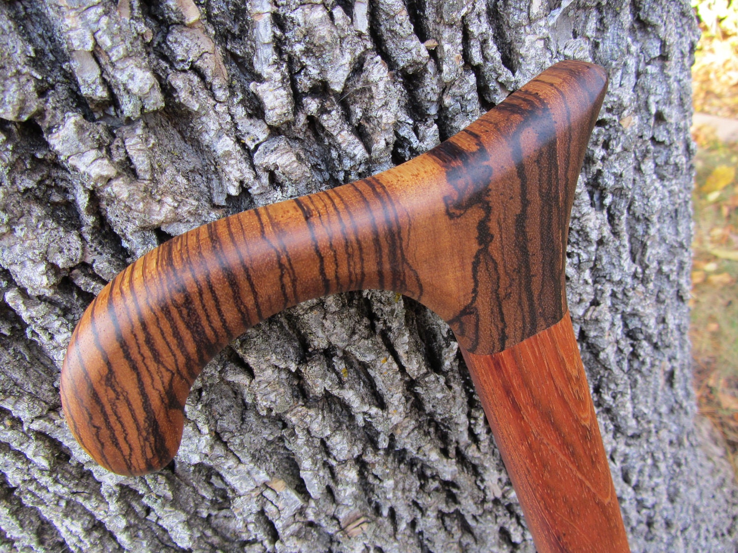 Walking Cane/ Walking Stick -  Zebra wood & Brazilian Cherry (Jatoba) 35" - 33"