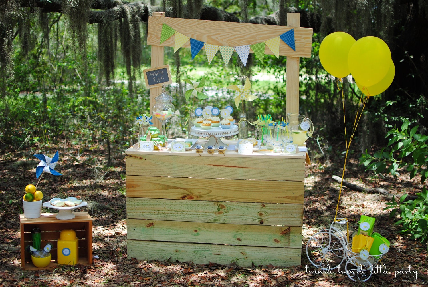 Lemonade Stand Party Boys and Girls As seen on Hostess with the Mostess
