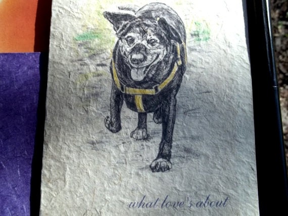 what love's about ( a spirit's song ) senior dog love
