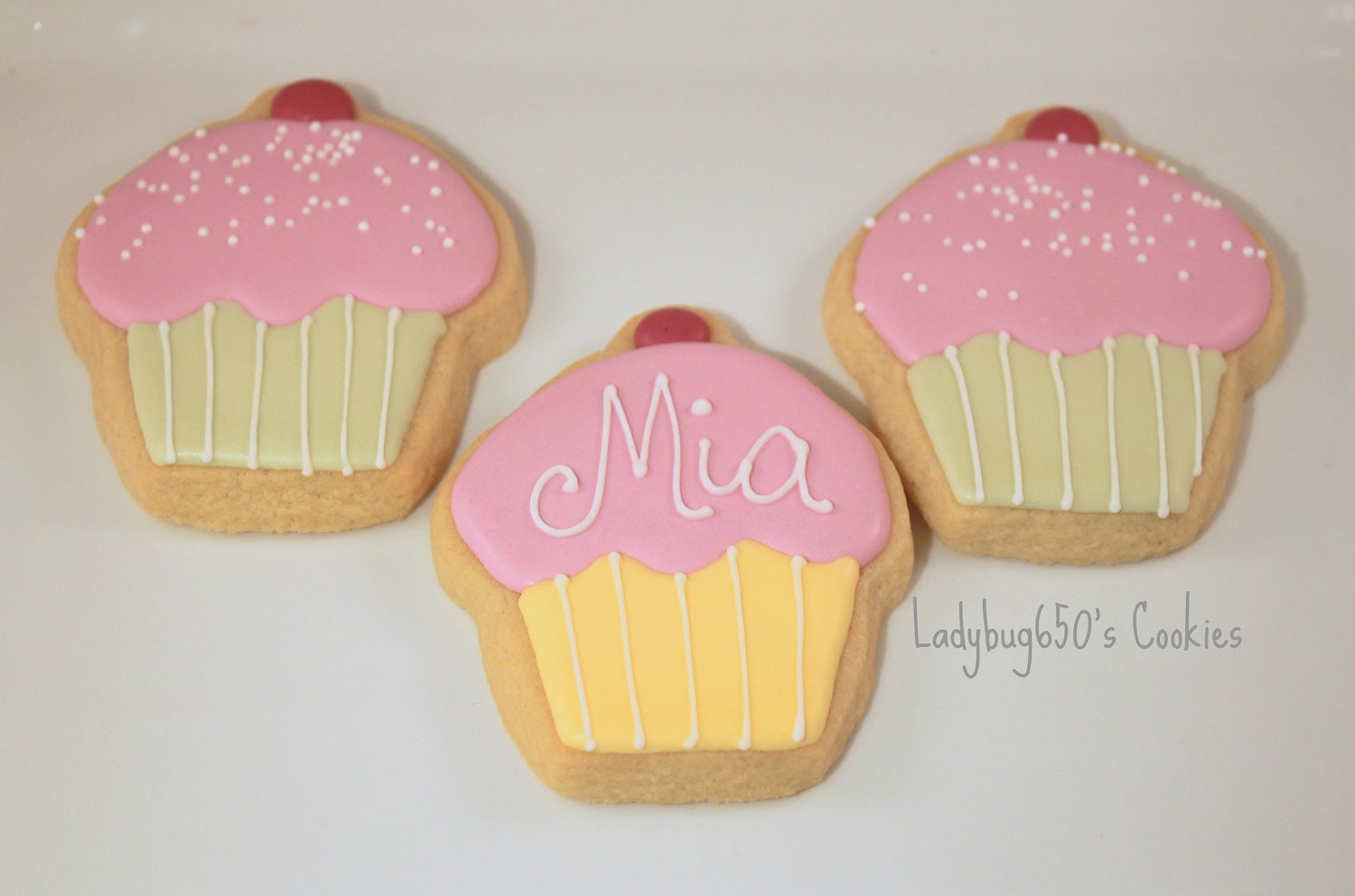 12 Cupcake cookies, handmade & iced