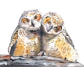 Owls Painting - bird watercolor print- wildlife art  -O077- Print of Watercolor Painting 5 by 7 print Splodgepodge