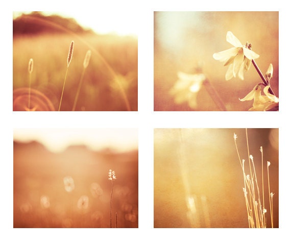 Gold Print Set - Four 8x10 Photographs - brown autumn fall photography - orange golden nature set - rust rustic wall art - fine art photo