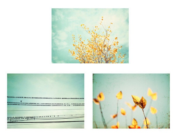 Mint Print Set - 3 5x7 Photographs - mint green yellow turquoise three - teal blue photo set three - wall art prints nature photography