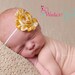 Baby headband, Stripe Chiffon Headband, newborn headbands, baby girl headband, shabby chic headband