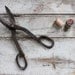 Vintage Metal Shears