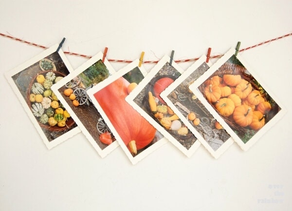 Set of 6 blank greeting photo cards, Autumn, Fall, Harvest, Pumpkins, Thanksgiving, photo note cards, - OverTheRainbowPrints
