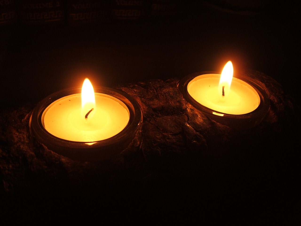 Rustic Candle holder - Larch Log with 2 Tea Lights.