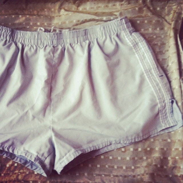 Vintage 70s Timberwolf Gray Swim Shorts - 36/38