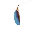 Long Blue Feather Pendant