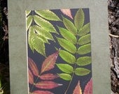 Real Pressed Sumac Leaves - OOAK Original Autumn Leaf Artwork - 11 x 14 Botanical Organic Fall Leavaes