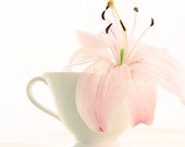 Pink Lily flower photography floral photo print botanical photograph nursery decor romantic gift for her bridal shower wall hanging pastel