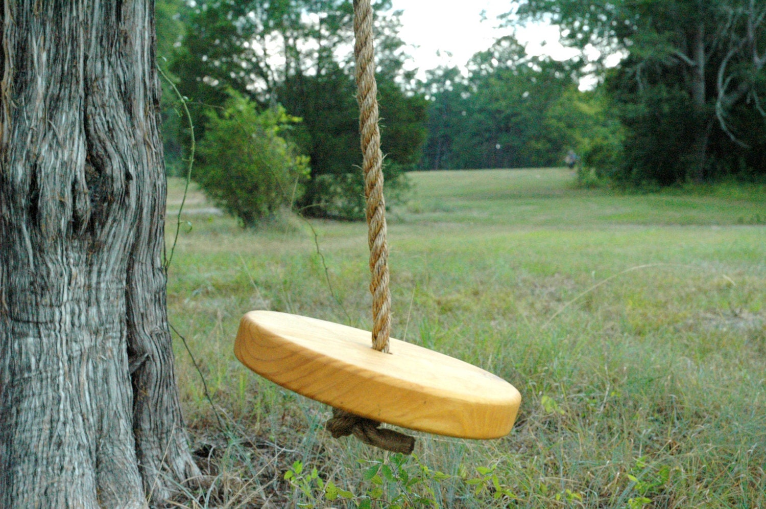 Salvaged Pine Round Wooden Tree Swing with Rope - Child's Tree Swing - Rope Swing