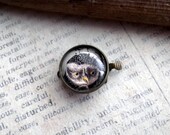 Owl Clasp, Box Clasp