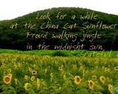 Grateful Dead Sunflower Photograph