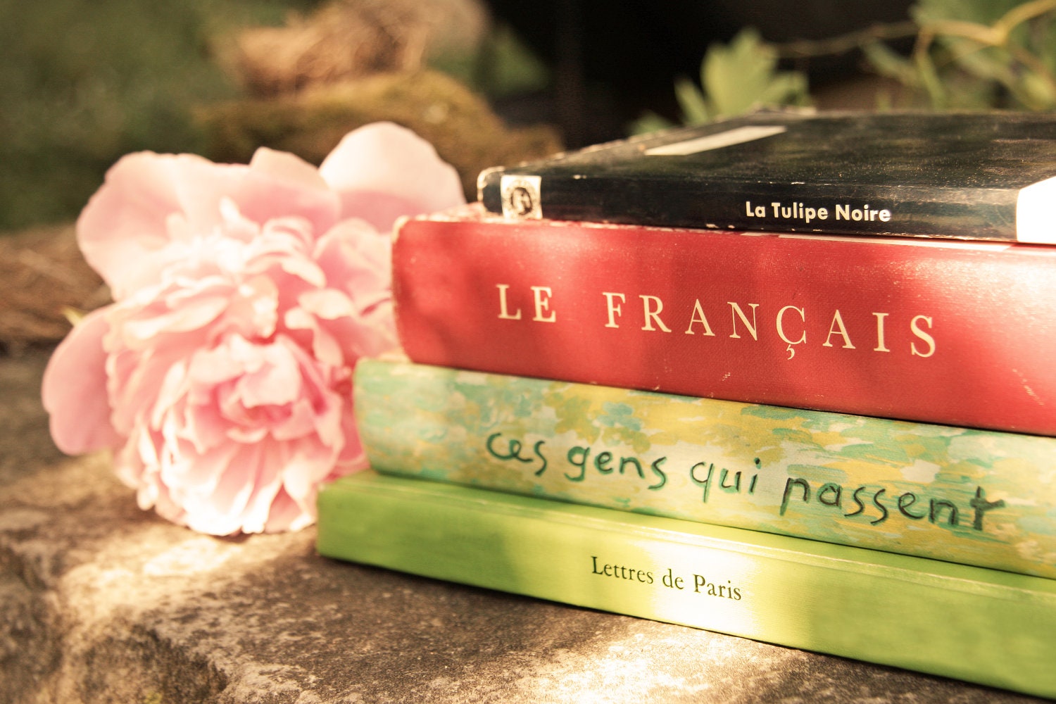 SALE and FREE US Shipping French Books and Peony Photo - Pink, Green, Red - Vintage Books - 8 x 12 -  Fine Art Photo