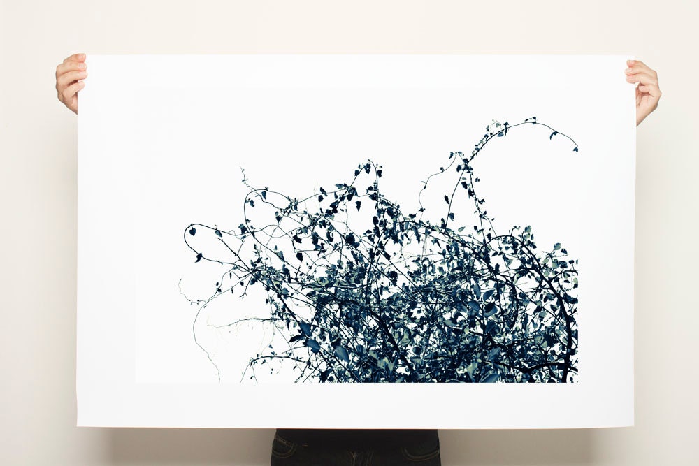 Large Canvas Tree Print Black and White 20x30 Botanicals minimalist wall art for man