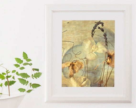 Flower Photo Botanical Art Print Fine Art Photography Print mothers day Cream Orchids 8x10 gift for her