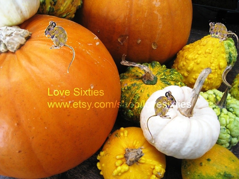 Free Digital Overlays