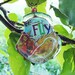 Fly Free Bird Recycled Coca Cola Bottle Necklace