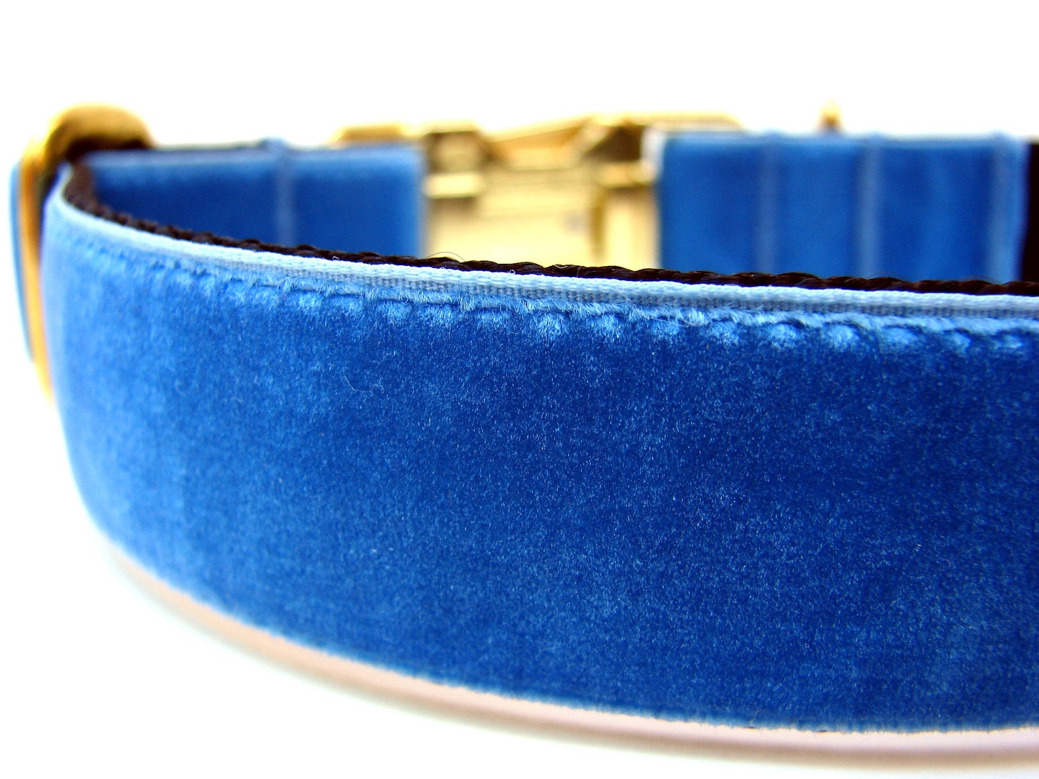 Custom Blue Velvet Dog Collar 1"