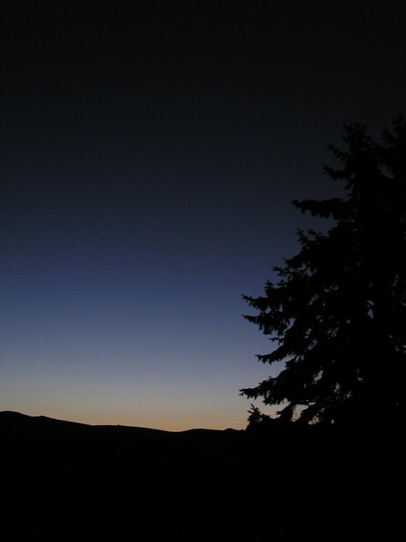 Morning Silhouette