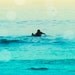 Surfer Art, Surf Photo, Surfing Art, Retro Surf, Ocean, Malibu, Teal, Under 25, men's gift