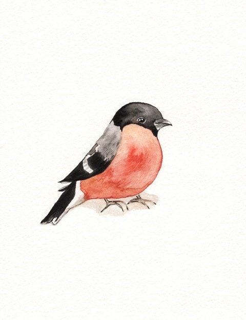 Sweet Pumpkin / Coral , Black, Gray Bird / Watercolor Print / 5x7