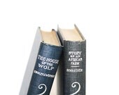 Vintage Mini 2 Book Collection Interior design Vintage Book Decor