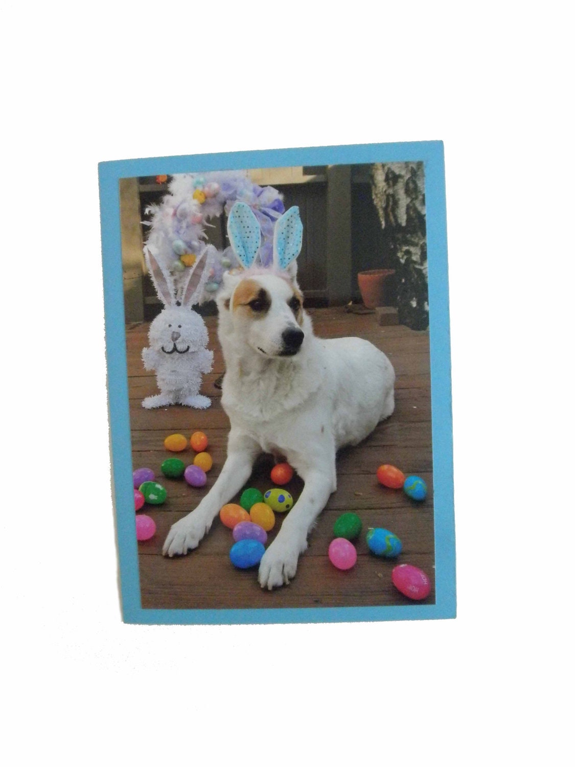 Easter Greeting Card Blank Inside