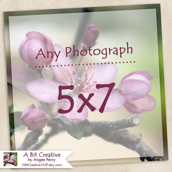 Any Photograph as a 5x7 Print