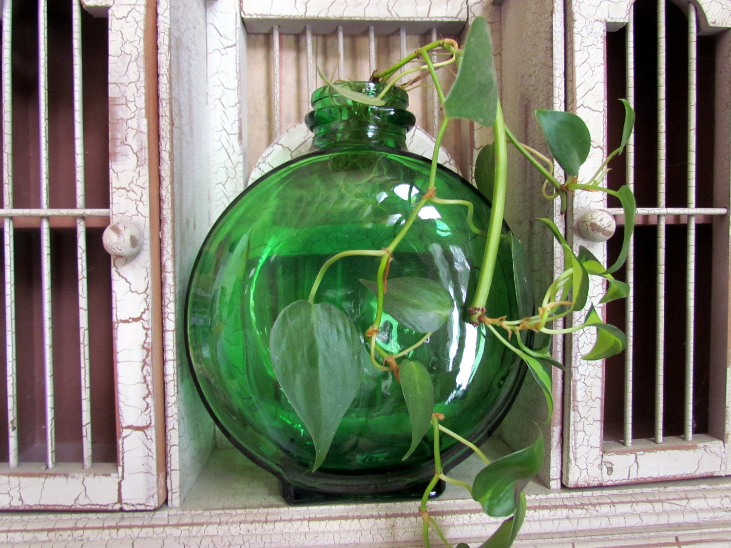Vintage Sunsweet Prune Juice Bottle : Round Hunter Green Glass Vase / Antique 1930s 1940s
