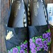 Puerto Rican Coqui Frog TOMS shoes