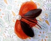 READY To Ship - DANIELLE in Fall Orange, Red and Brown Spice Peacock Feather Hair Clip, Fascinator