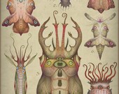 Cephalopodoptera tab II - Art print