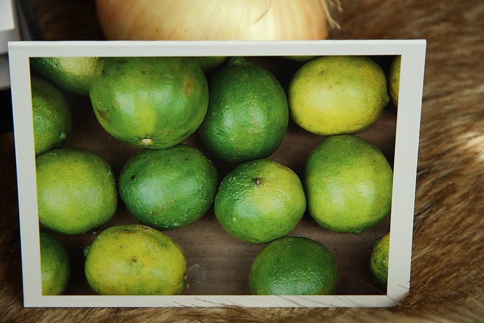 Put the Lime In the Coconut - Set of 4 Lime Cards Blank Inside Glossy Vibrant Color 4x5.5"