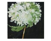 Wall Art Original Oil Painting Hydrangea Still Life Painting on wood panel 10x10 inch