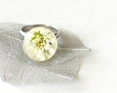 Globe Resin Ring real flower - white ball ring handmade jewelry - Gypsophila paniculata