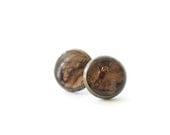 Real Bark Earrings - brown resin earrings woodland rustic jewelry - Prunus cerasus
