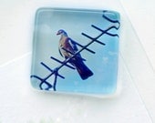 Love Bird Magnet Shabby Chic Mint Magnet, Blue Pastel Heart Bokeh White Frost Glass Magnet Nature Photography Magnet