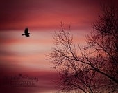 Red Fine Art Nature Photography, 16x20 large wall art, for a childs room, Pink Sky, Winter Sky, white Black, Nursery Decor