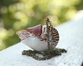 Curious Nautilus Necklace