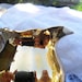 Vintage Tea Set Bavaria Gilt Demitasse 10 Piece STW Bareuther Waldssen
