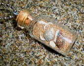 Beach Shells and Sand In A Bottle Necklace Pendant with chain